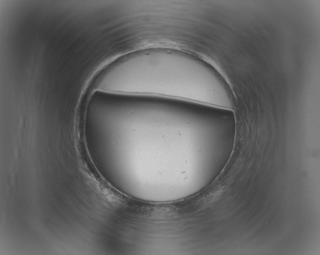 X0000074000979200608211103