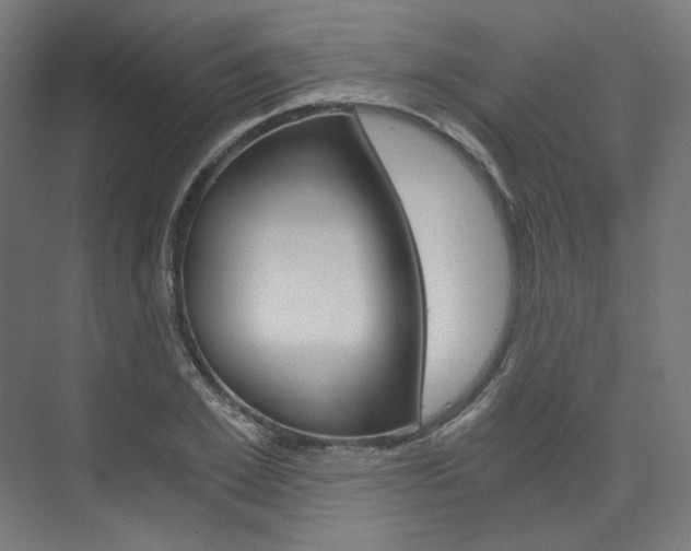 X0000074000981200608211103
