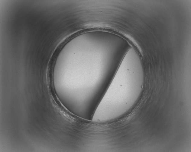 X0000074000983200608211103