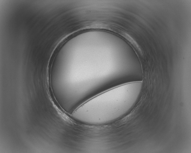 X0000074000988200608211103