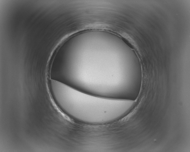 X0000074000989200608211103
