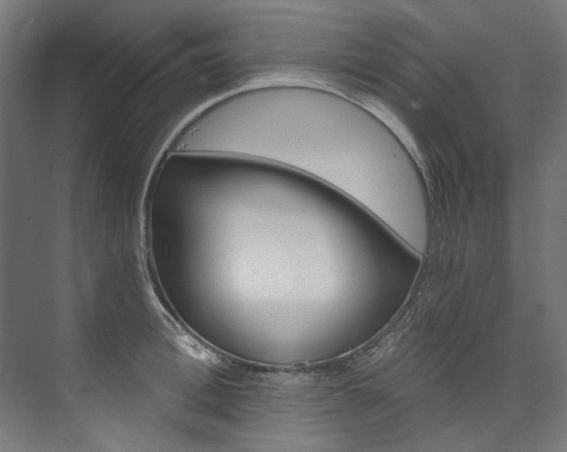 X0000074000996200608211103