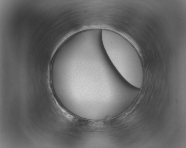 X0000074001006200608211103