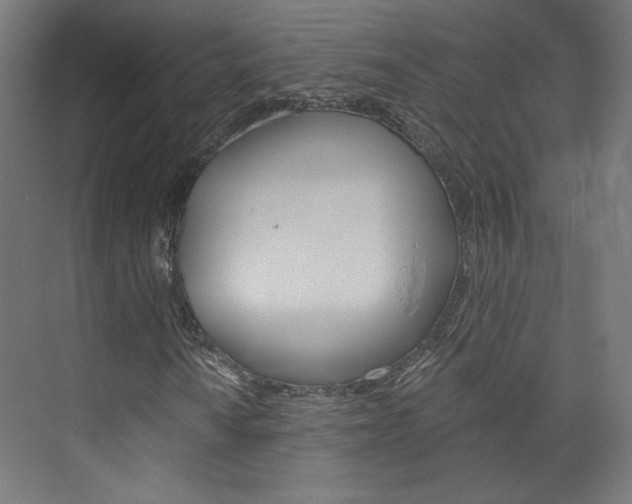 X0000074001010200608211102