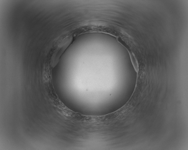 X0000074001014200608211102