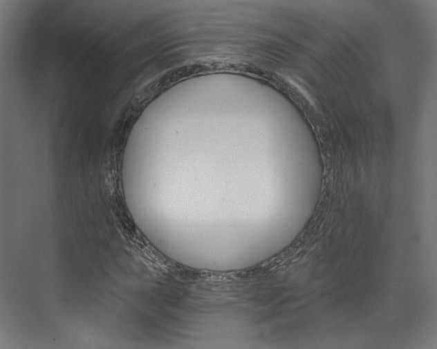 X0000074001015200608211102