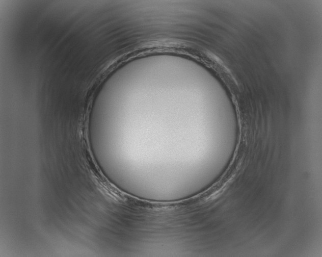 X0000074001017200608211102