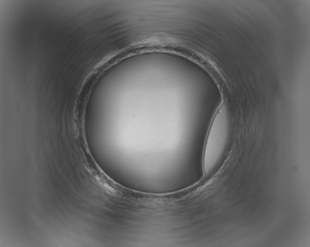X0000074001018200608211102