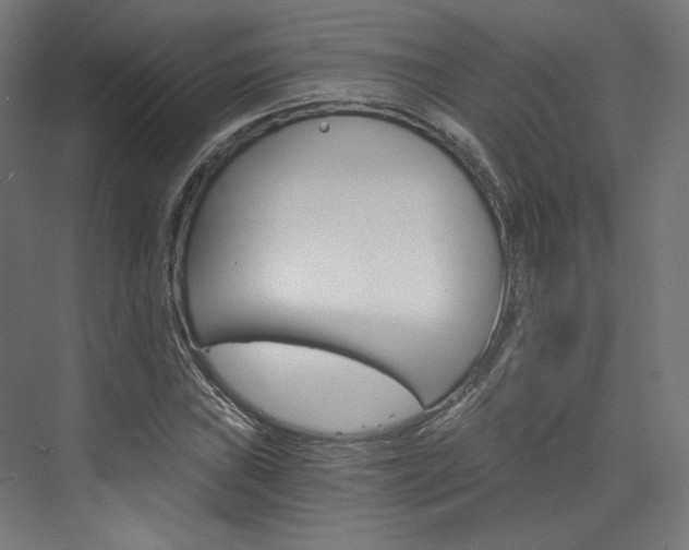 X0000074001019200608211102