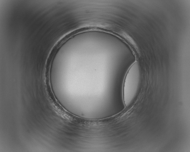 X0000074001020200608211102