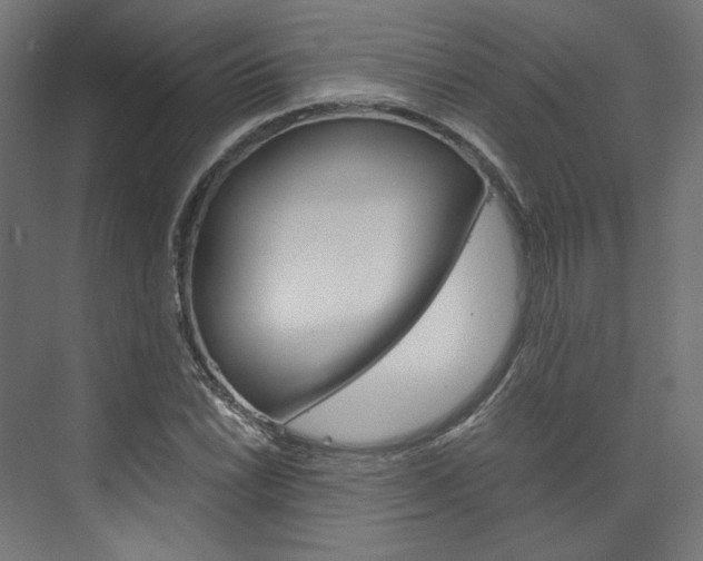 X0000074001022200608211102