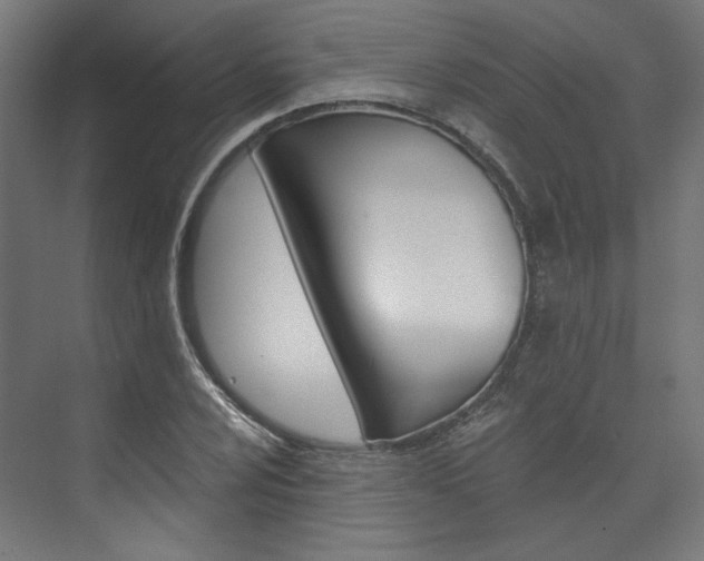 X0000074001024200608211102