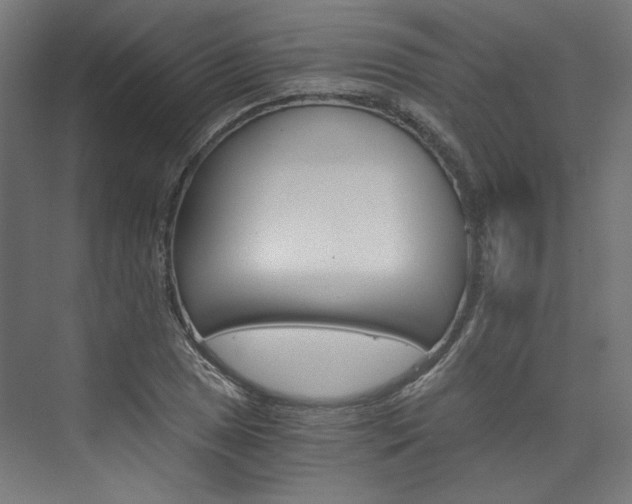 X0000074001025200608211102