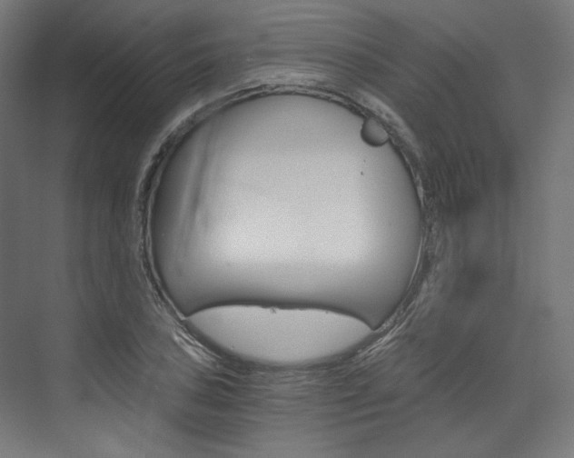 X0000074001027200608211102