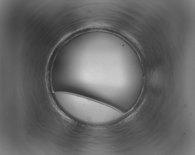 X0000074001029200608211102