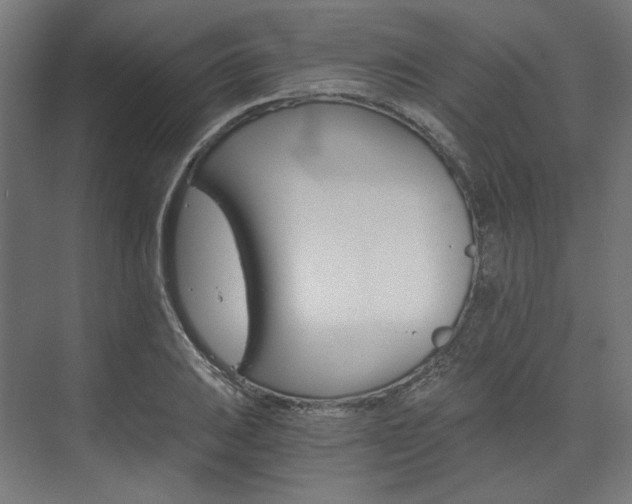 X0000074001031200608211102