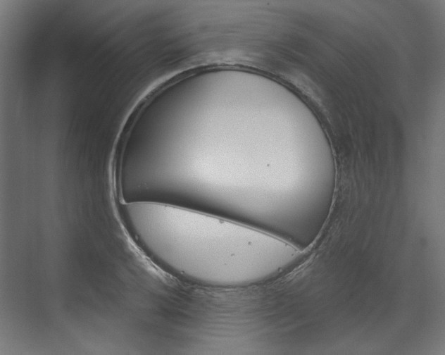 X0000074001032200608211102