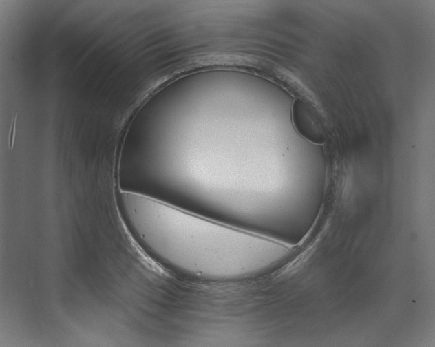 X0000074001033200608211102
