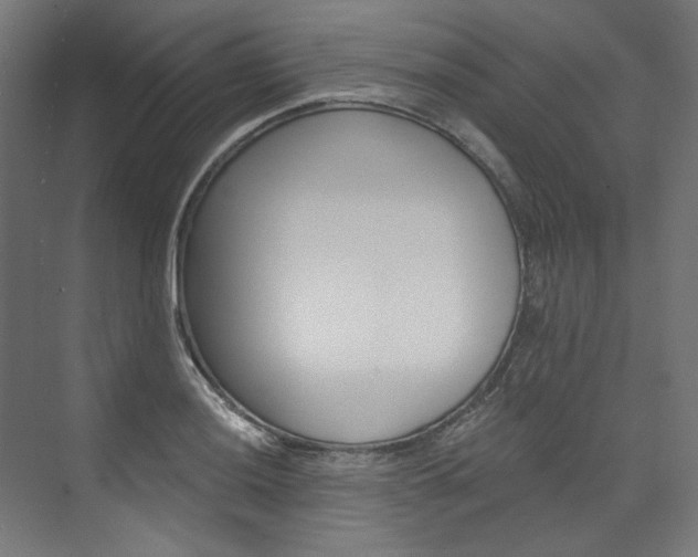 X0000074001036200608211102