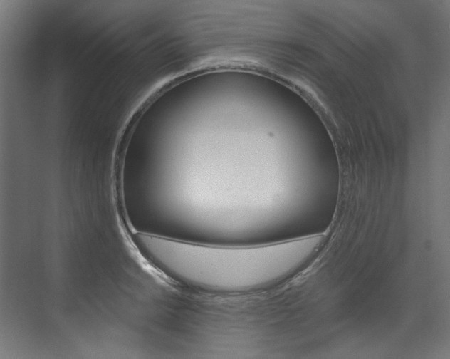 X0000074001038200608211102