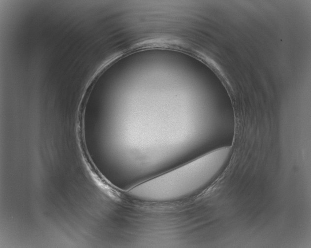 X0000074001042200608211102