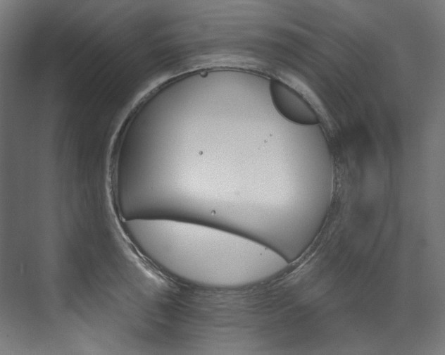 X0000074001043200608211102