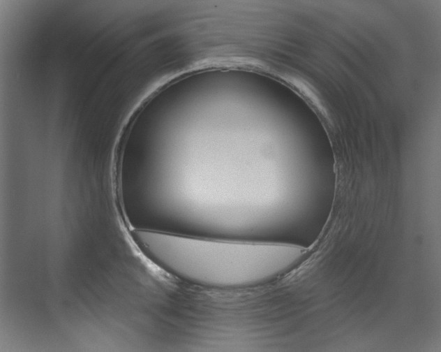 X0000074001046200608211103