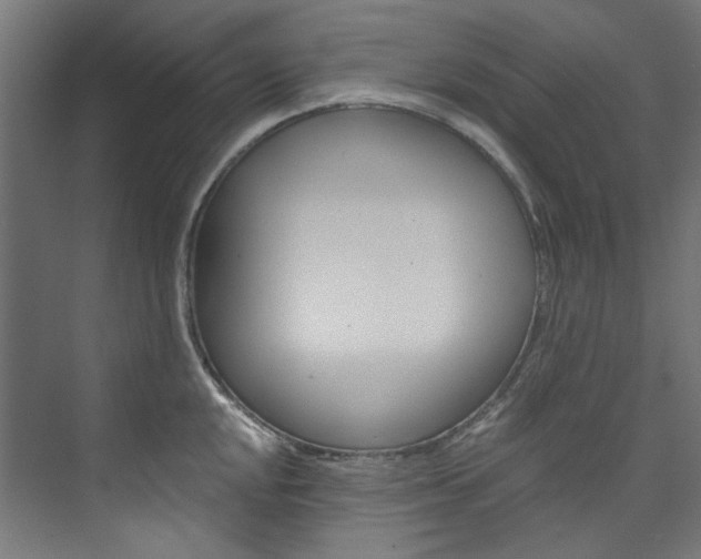X0000074001048200608211103