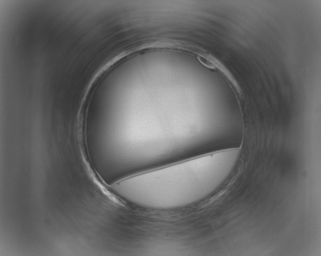 X0000074001053200608211103