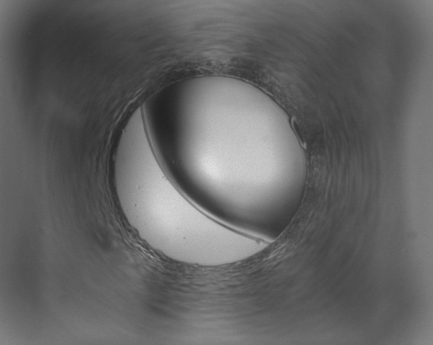 X0000074001057200608211102