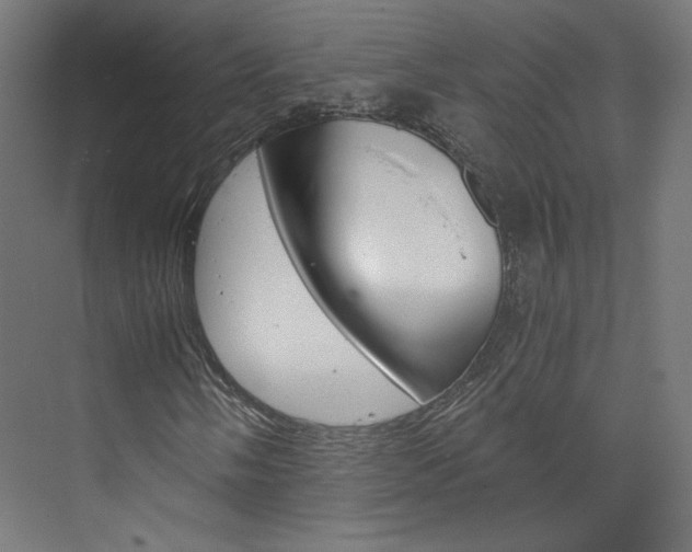 X0000074001058200608211102