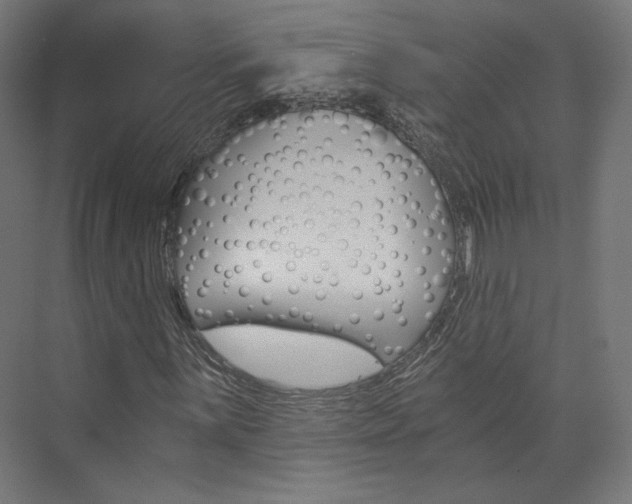 X0000074001059200608211102