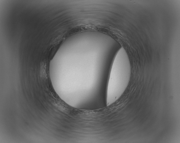 X0000074001060200608211102