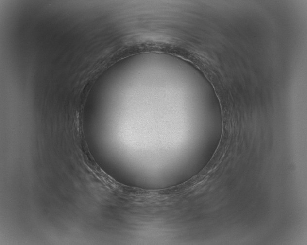 X0000074001061200608211102