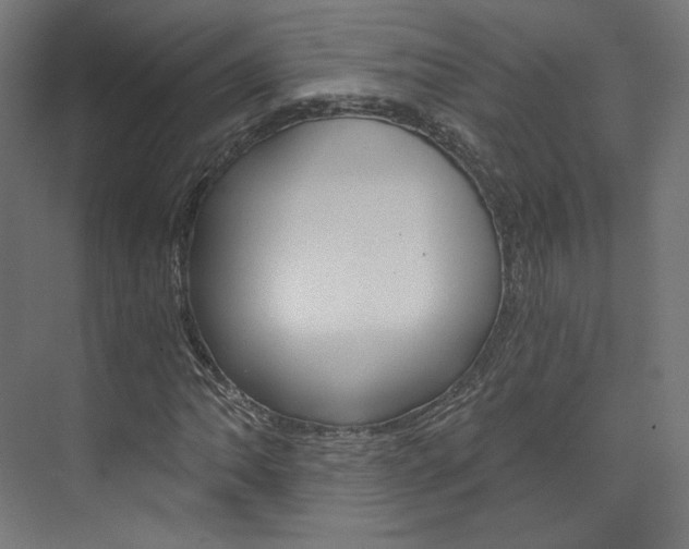 X0000074001062200608211102