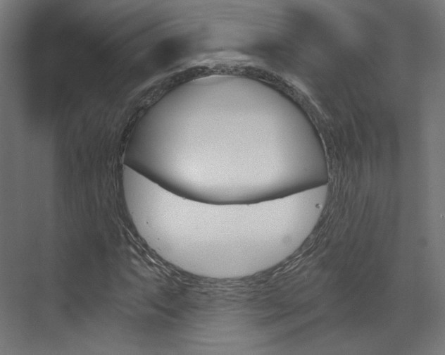 X0000074001063200608211102