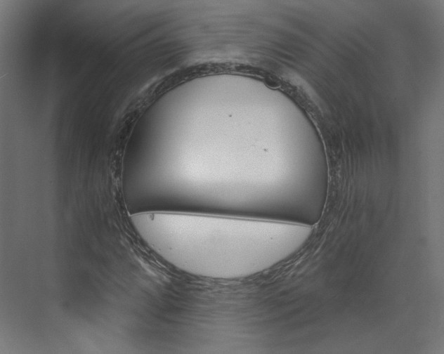 X0000074001064200608211102