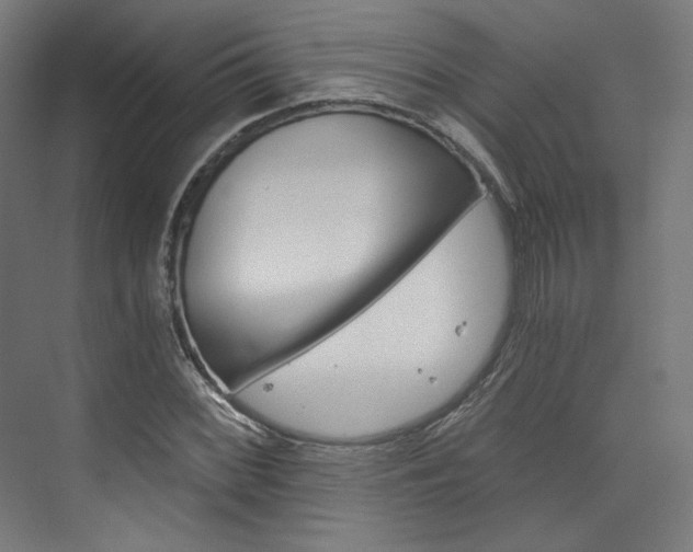 X0000074001068200608211102