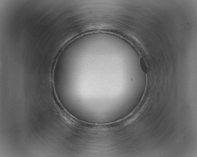 X0000074001073200608211102