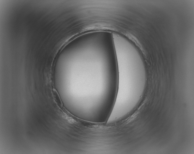 X0000074001081200608211101