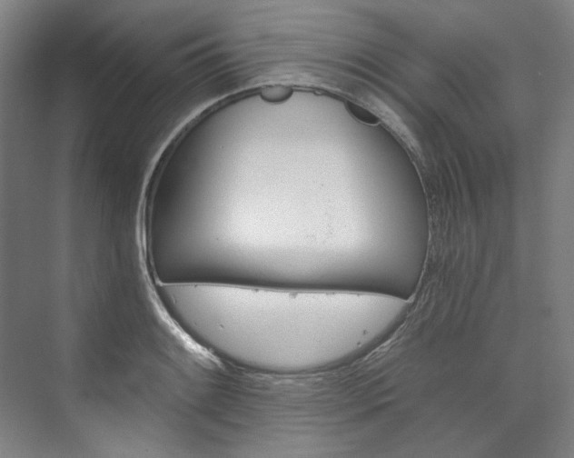 X0000074001084200608211101