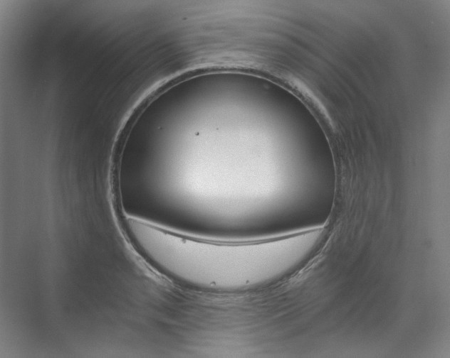 X0000074001085200608211101