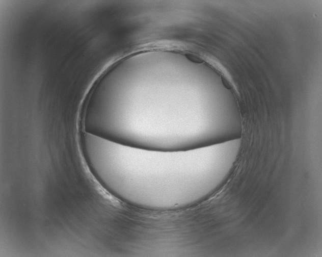 X0000074001091200608211101