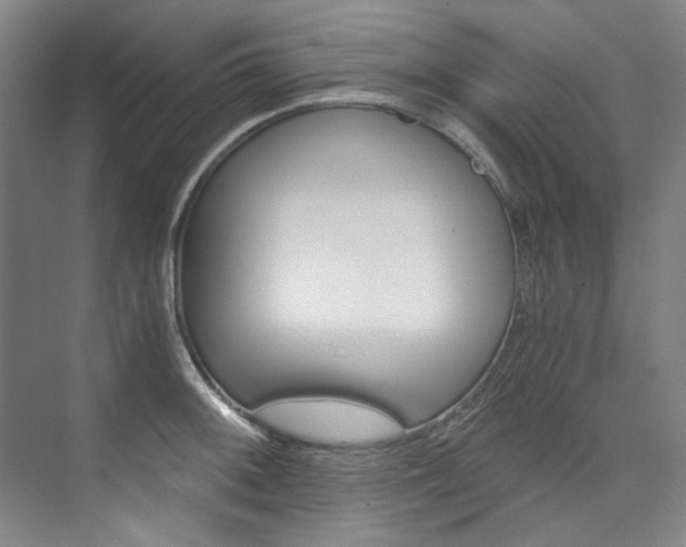 X0000074001092200608211101