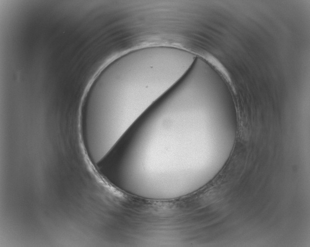 X0000074001096200608211101