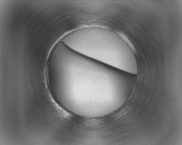 X0000074001100200608211101
