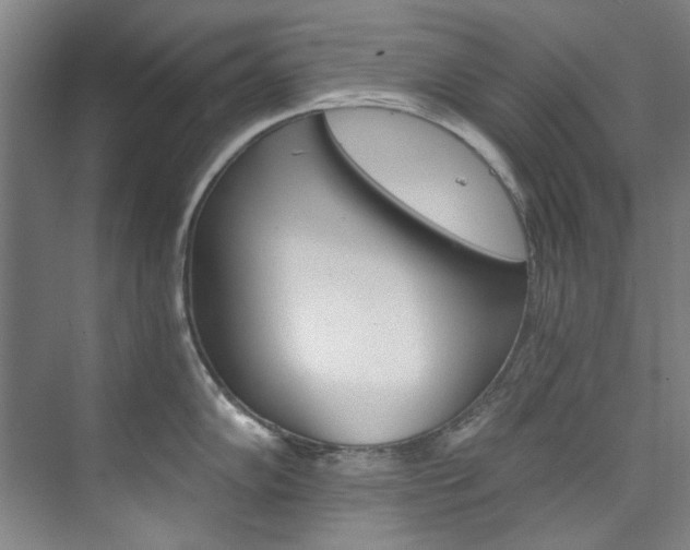 X0000074001102200608211101