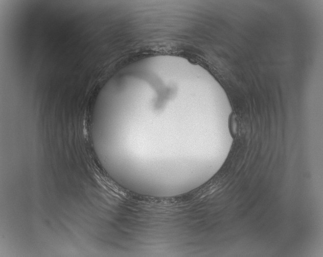 X0000074001106200608211100