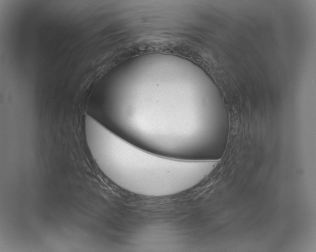 X0000074001109200608211100