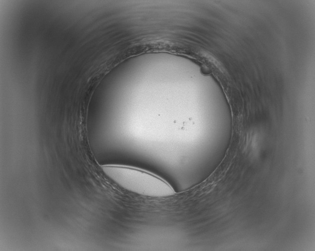 X0000074001111200608211100